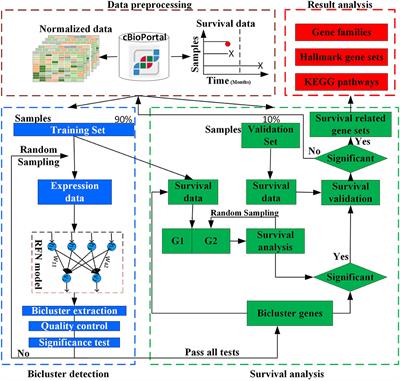 Detecting Cancer Survival Related Gene Markers Based on Rectified Factor Network